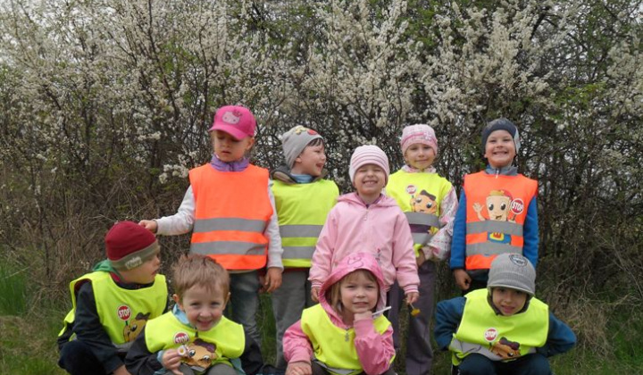 Zobraziť fotografiu
